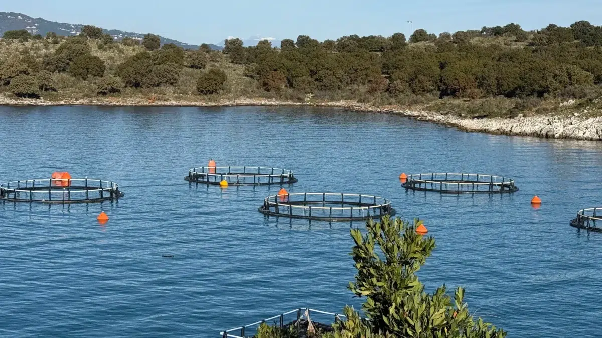 HDPE për Akuakulturë dhe Kultivim Peshku - iPlast