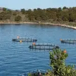 HDPE për Akuakulturë dhe Kultivim Peshku - iPlast