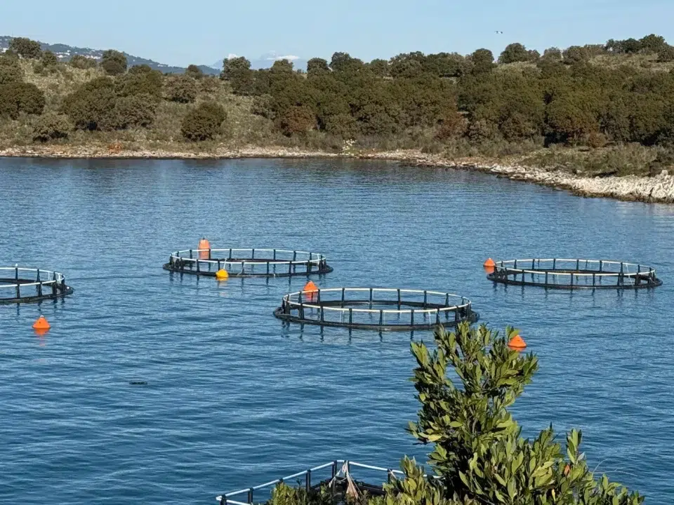 HDPE për Akuakulturë dhe Kultivim Peshku - iPlast