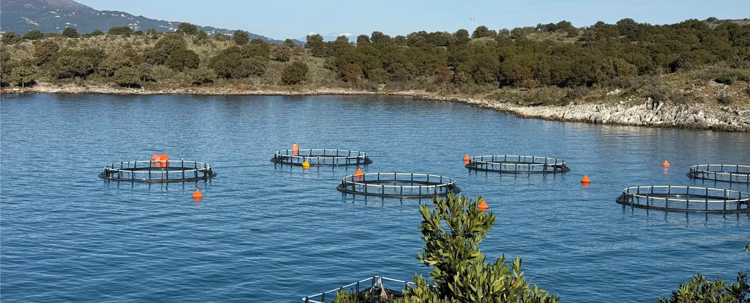 HDPE për Akuakulturë dhe Kultivim Peshku - iPlast